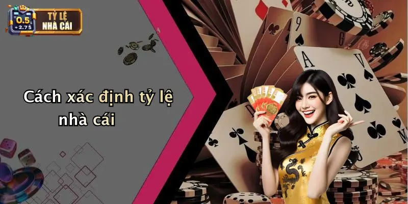 Điều Khoản Nhà Cái 3 Cách xác định tỷ lệ nhà cái