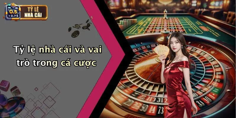Điều Khoản Nhà Cái 2 Tỷ lệ nhà cái và vai trò trong cá cược