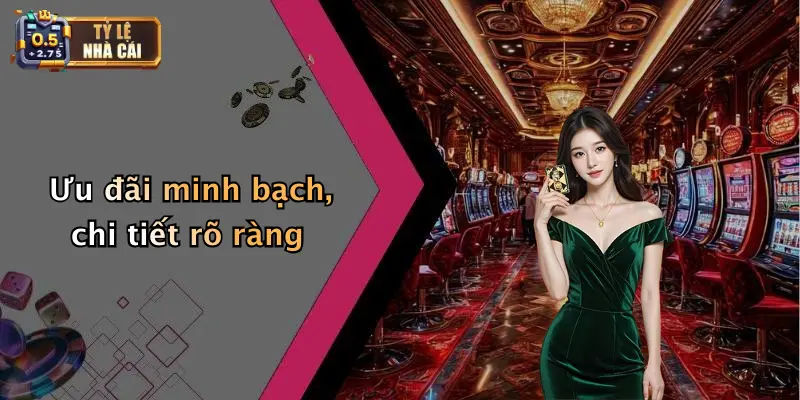 Nhà Cái Uy Tín 4 Ưu đãi minh bạch, chi tiết rõ ràng