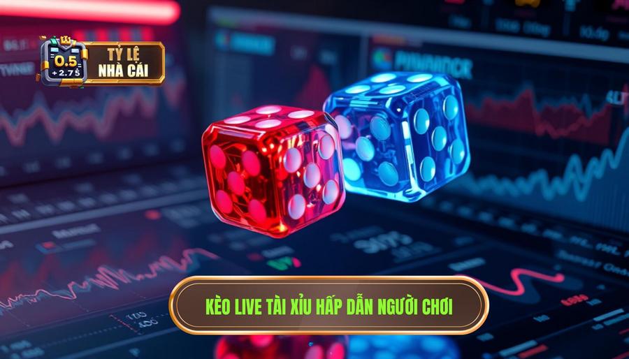 Kèo live tài xỉu là gì? Tại sao nó lại hấp dẫn đến vậy?